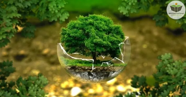 Curso de Educação Ambiental