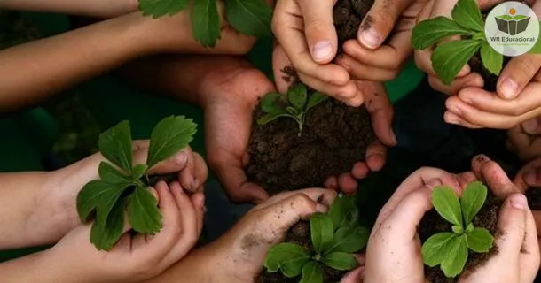 Curso de Gestão do Meio Ambiente: Sustentabilidade e Educação Ambiental