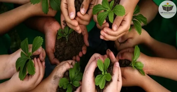 Curso de Introdução em Educação Ambiental