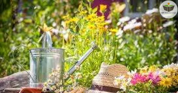 Curso de Jardinagem