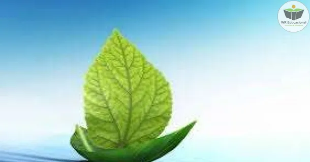Curso Noções Básicas de Prevenção de Riscos Ambientais