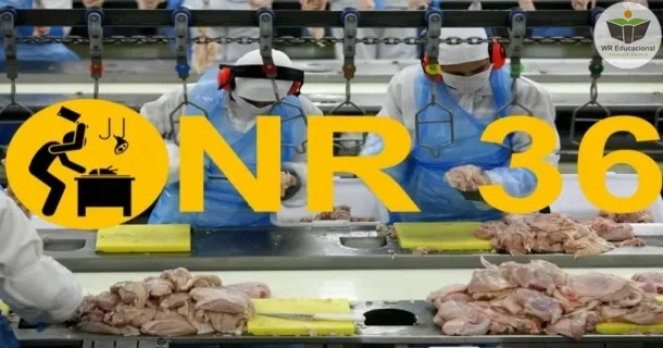 Curso de NR 36 - Segurança e Saúde no Trabalho em Empresas de Abate e Processamento de Carnes e Derivados