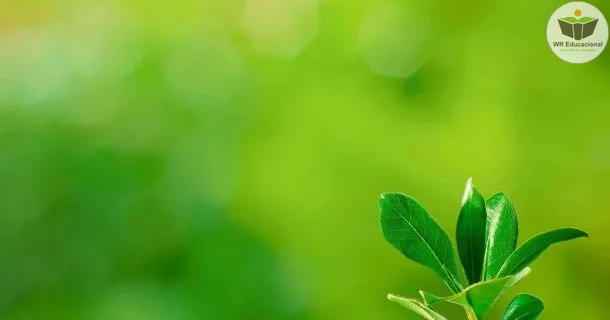 Curso de educação a distância de Meio Ambiente em Inteligência Estratégica
