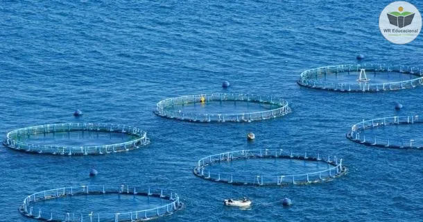 Curso Noções de Aquicultura