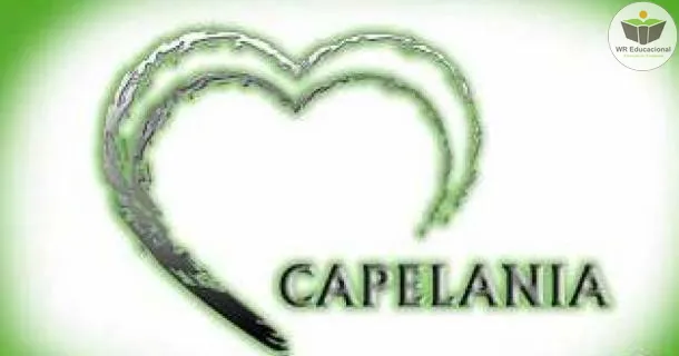 Básico em Capelania 