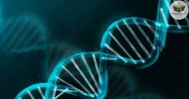 Curso de Introdução ao Melhoramento Genético de Produção Animal