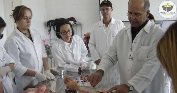 Curso Noções Básicas em Auxiliar de Necrotomia 