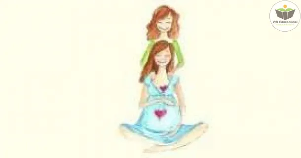 Curso Básico de Doula
