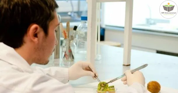 Curso de educação a distância de Noções Básicas em Biotecnologia