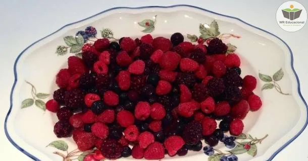 Curso Noções Básicas em Classificador de Alimentos
