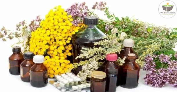 Curso Noções Básicas do Cultivo e Uso de Plantas Medicinais