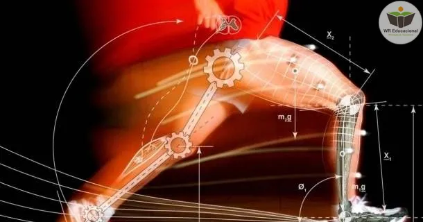 Curso Noções Básicas em Fisiologia do Exercício