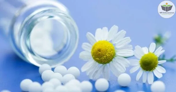 Curso Noções Básicas em Homeopatia II