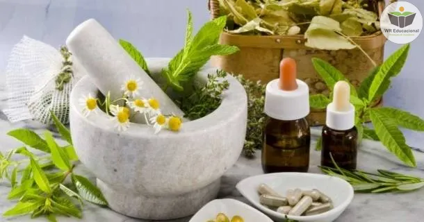Curso Noções Básicas em Homeopatia I