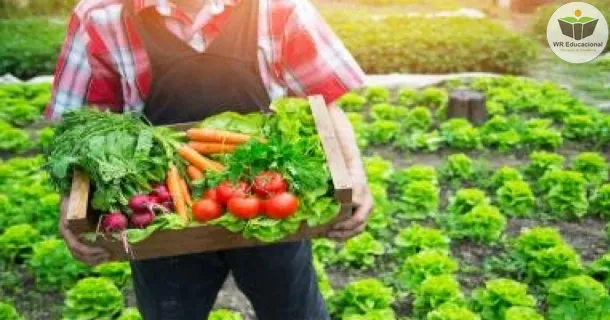 Curso de Produção de Sementes de Hortaliças para a Agricultura Familiar