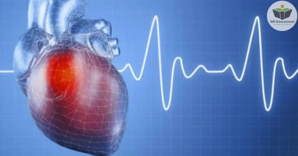 Curso de Sistema de Condução Cardíaco e Eletrocardiograma