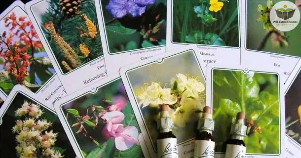 Curso Noções Básicas em Terapia Florais de Bach