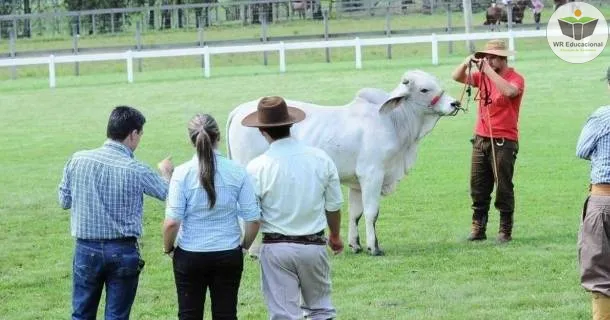 Curso de educação a distância de Auxiliar em Agropecuária