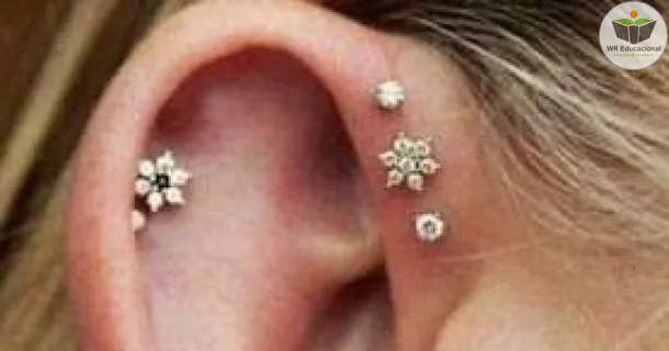 Curso Básico em Body Piercing