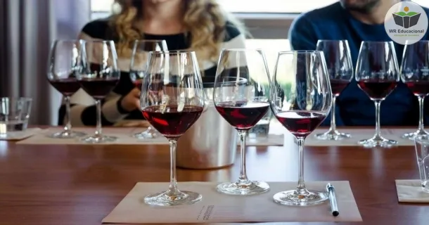 Curso de Degustação de Vinhos