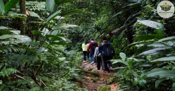 Curso de Ecoturismo e seu impacto no meio ambiente